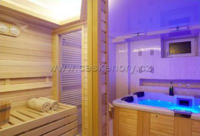 Apartamenty Willa Hedvika***