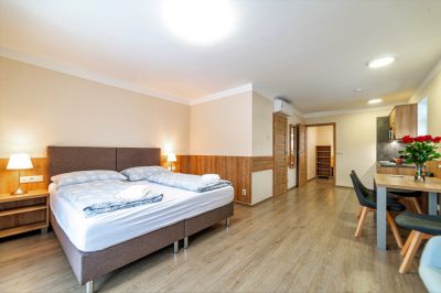 Apartamenty Superior Willa Věra