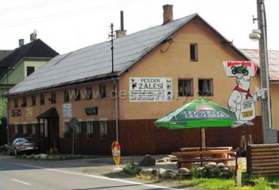 Pensjonat Zalesi