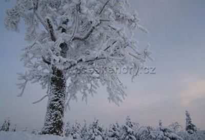 Ski Czerwonogórskie Siodło