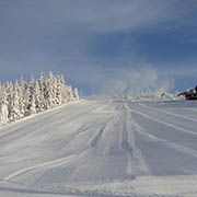 Ski areał Harrachow